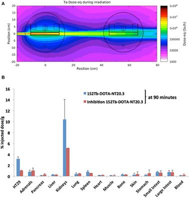 New Isotopes for the Treatment of Pancreatic Cancer in Collaboration With CERN: A Mini Review